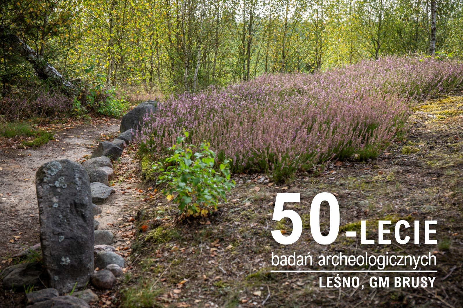 50 lat archeologii w Leśnie